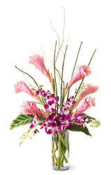 Tropicala Arrangement from Visser's Florist and Greenhouses in Anaheim, CA